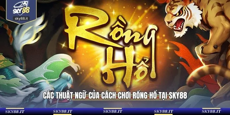 Các thuật ngữ của cách chơi rồng hổ tại SKY88