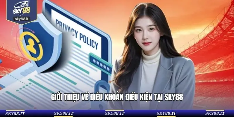 Giới thiệu về điều khoản điều kiện tại SKY88