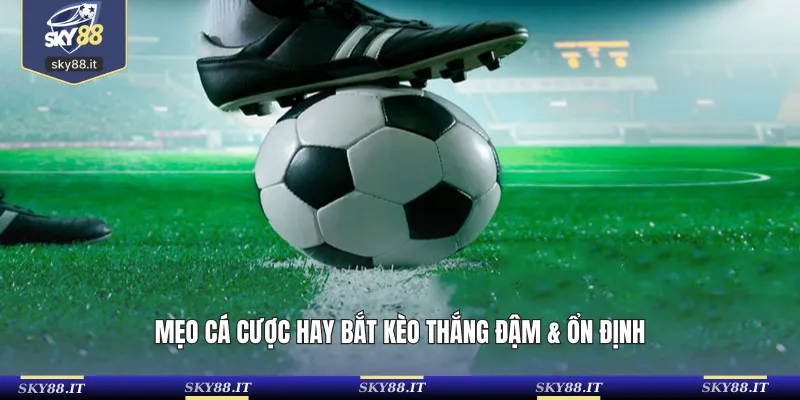 Mẹo cá cược hay bắt kèo thắng đậm & ổn định