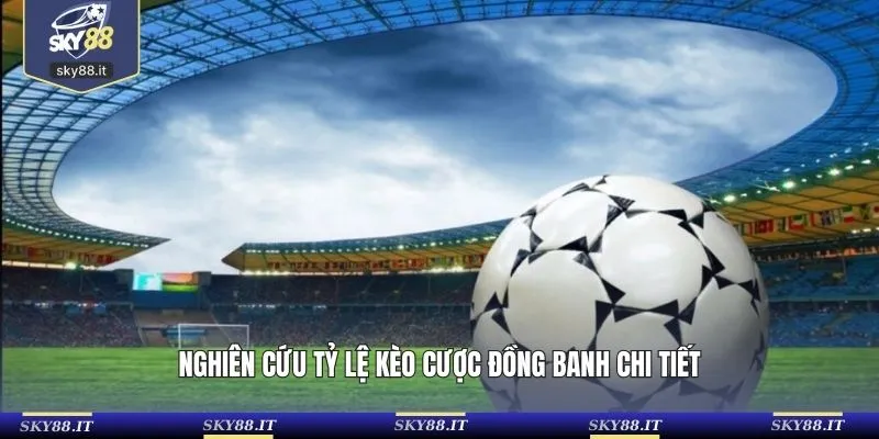 Nghiên cứu tỷ lệ kèo cược đồng banh chi tiết