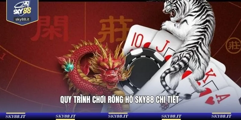 Phân tích các cửa cược rồng hổ hiệu quả